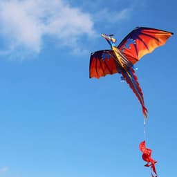 image-3D Dragon Kite
