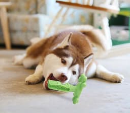 image-Dog Molar Toy Large Dog Brushing Artifact Pet Supplies