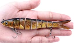 image-multi-section fish toy