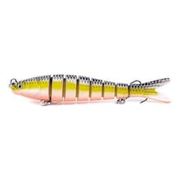 image-multi-section fish toy