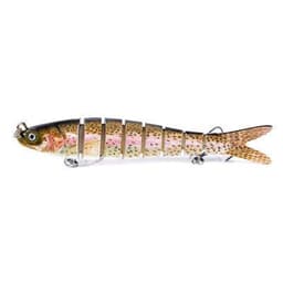 image-multi-section fish toy