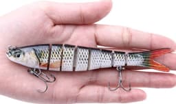 image-multi-section fish toy