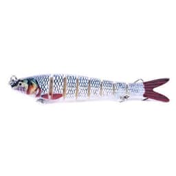 image-multi-section fish toy