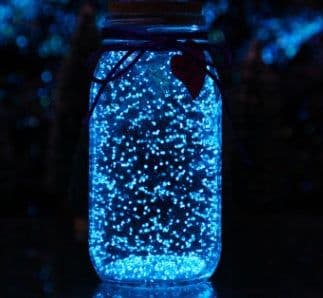 image-Fluorescent wishing bottle