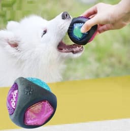 image-Dog toy ball