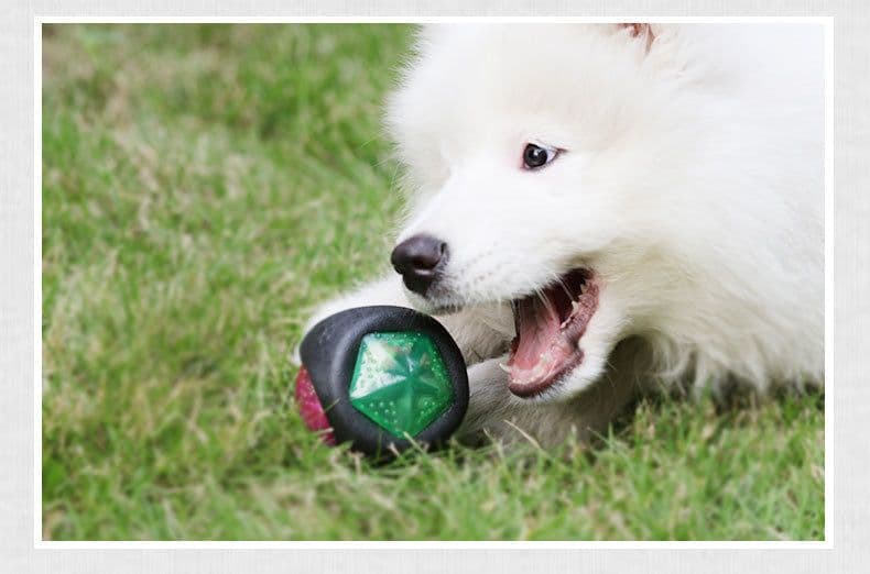 image-Dog toy ball