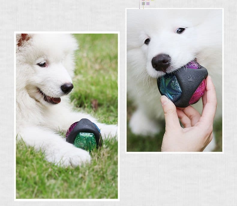 image-Dog toy ball