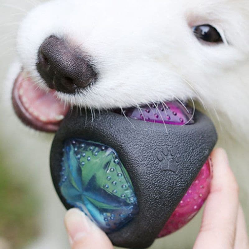 image-Dog toy ball