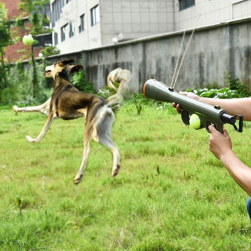 image-Tennis shooting gun to send tennis pets