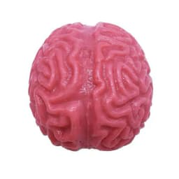 image-Venting decompression toy