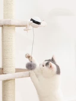 image-Electric Automatic Lifting Motion Cat Toy Interactive Puzzle Smart Pet Cat Teaser Ball Pet Supply Lifting Toys