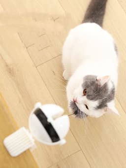 image-Electric Automatic Lifting Motion Cat Toy Interactive Puzzle Smart Pet Cat Teaser Ball Pet Supply Lifting Toys
