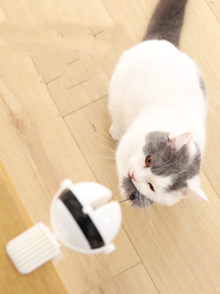 image-Electric Automatic Lifting Motion Cat Toy Interactive Puzzle Smart Pet Cat Teaser Ball Pet Supply Lifting Toys