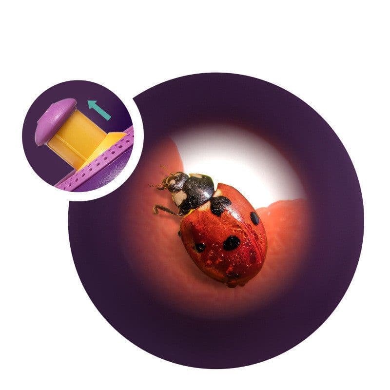 image-Scientific Outdoor Toys Plant Insect Biology Study Tool Set Cute Nature Observation Exploration Toy for Children