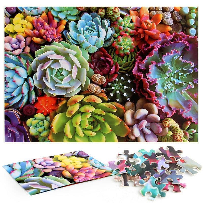 image-New 1000 Pieces Succulents Landscape Adult Puzzle