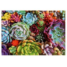 image-New 1000 Pieces Succulents Landscape Adult Puzzle