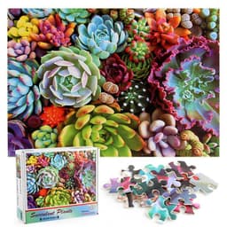 image-New 1000 Pieces Succulents Landscape Adult Puzzle