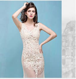 image-Lace Transparent Mermaid Evening Dress