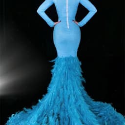 image-Water Bottle Feather Trailing Hip Dress Costume