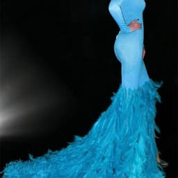image-Water Bottle Feather Trailing Hip Dress Costume