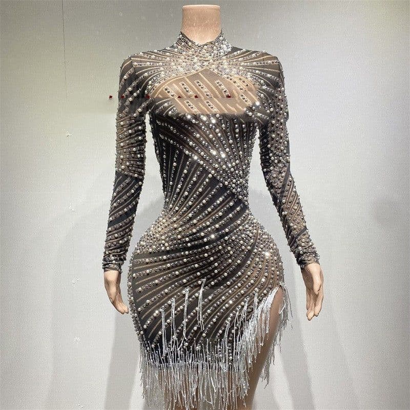 image-Tassel Dress Birthday Party Long Sleeve Ironing Transparent