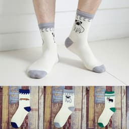 image-Tube Socks Pet Dog Gathering Men's Socks Autumn And Winter Cartoon 100 Cotton Socks