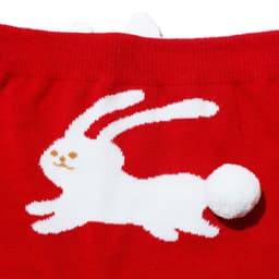 image-Year Of The Rabbit Good Luck Sweet
