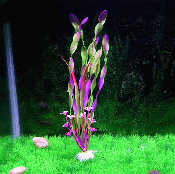 image-Aquarium Simulation Water Plants North American Fish Tank Landscaping Aquarium Decorations Fake Fish Grass Seabed Thin Strips Of Water Kelp Grass