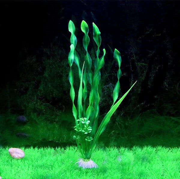 image-Aquarium Simulation Water Plants North American Fish Tank Landscaping Aquarium Decorations Fake Fish Grass Seabed Thin Strips Of Water Kelp Grass
