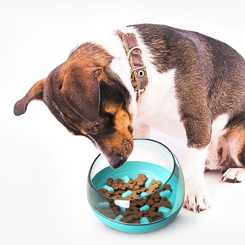 image-Space Capsule Dog Bowl Dog Bowl Slow Food Bowl Tumbler Cat Bowl