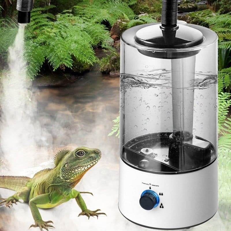 image-Climbing Pet Tortoise Atomizing Humidifier