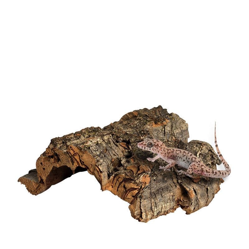 image-Reptile Terrarium Landscaping Decoration Ornaments Mini Pet Snake Crawling Pet Simulation Avoiding Cave Lizards