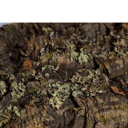 image-Reptile Terrarium Landscaping Decoration Ornaments Mini Pet Snake Crawling Pet Simulation Avoiding Cave Lizards