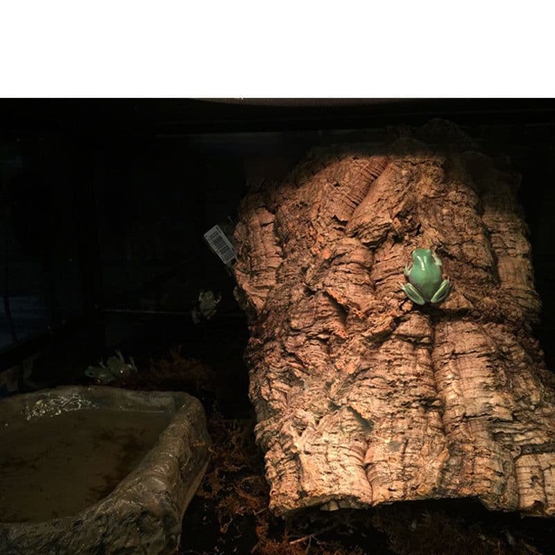 image-Reptile Terrarium Landscaping Decoration Ornaments Mini Pet Snake Crawling Pet Simulation Avoiding Cave Lizards