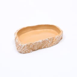 image-Water Tray Tortoise Lizard Gecko Horned Frog Sea View Aquarium Reptile Supplies