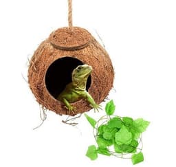 image-reptile swing