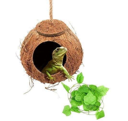image-reptile swing