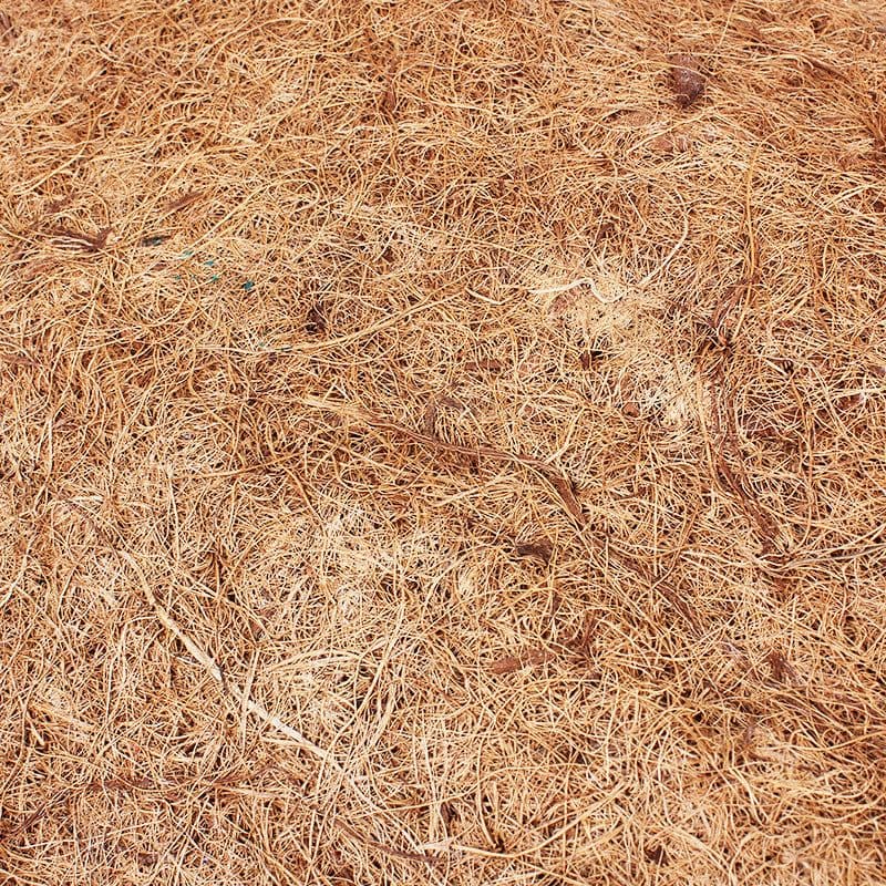 image-Nomo Reptile Supplies Coconut Palm Mat material Reptile Tortoise Leopard Tortoise Star Tortoise Lizard Dust-free Reptile Box Landscaping