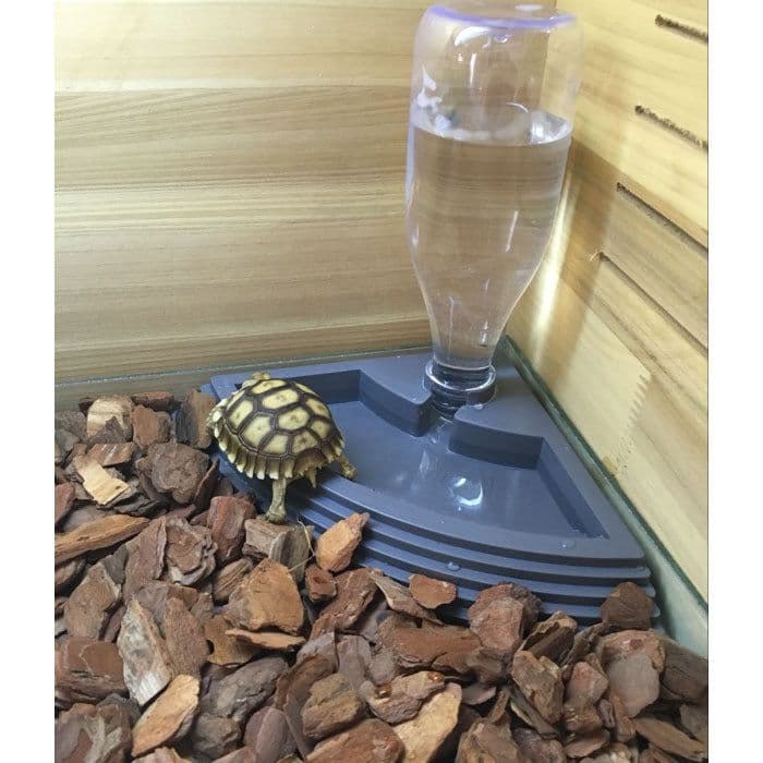 image-Reptile Feeding Tray Automatic Drinking Fountain