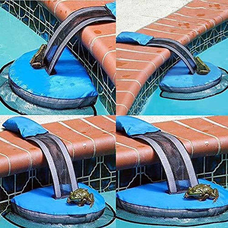 image-Swimming Pool Small Animal Rescue Swimming Pool Animal Escape Way Frog Net