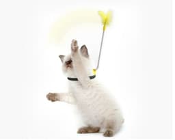 image-Self Healing Collar Neck Toy Spring Foot With Tap To Tease Cat Stick