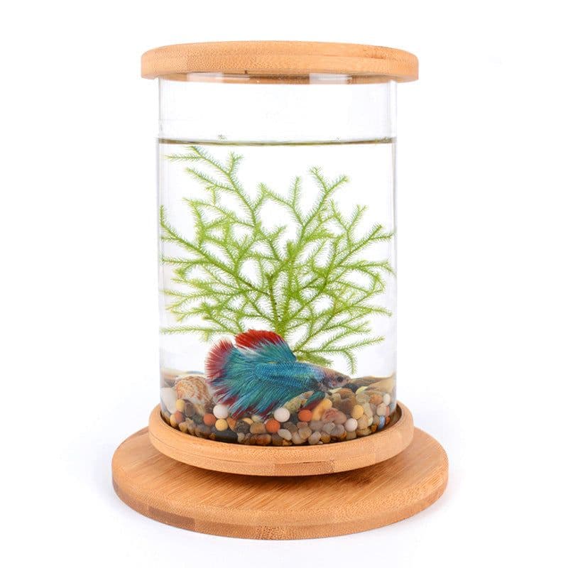 image-Small Office Glass Aquarium Bamboo Base Mini Fish Tank Decoration Fish Bowl