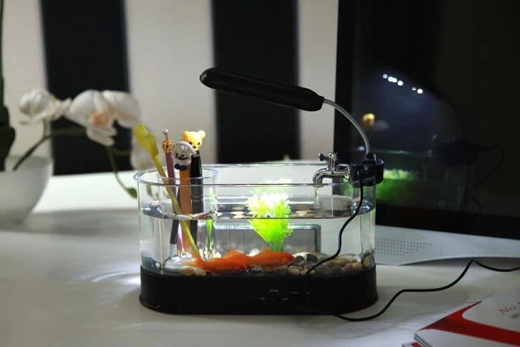 image-USB Desktop Streaming Mini Aquarium Time Date Week Temperature Alarm Transparent Pen Holder