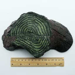 image-Reptile Supplies Balcony Climbing Rockery Balcony