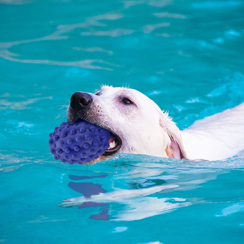 image-Pet Toy Rubber Bump Rugby Vocal Resistance Bite Wear