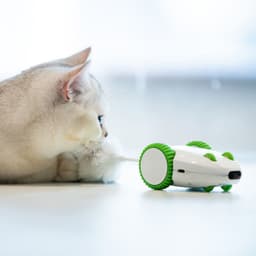 image-Mouse Cat Supplies Sound And Light Simulation Mouse Toy Plush Feather Cat Toy