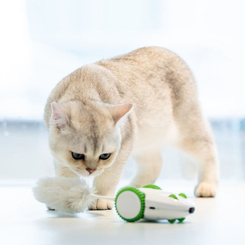 image-Mouse Cat Supplies Sound And Light Simulation Mouse Toy Plush Feather Cat Toy