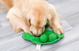 image-Pet Plush Toys Sniffing Educational Supplies Molar Training