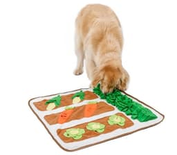 image-Pet Plush Toys Sniffing Educational Supplies Molar Training