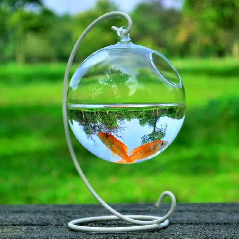 image-Hanging Glass Vase Fish Tank